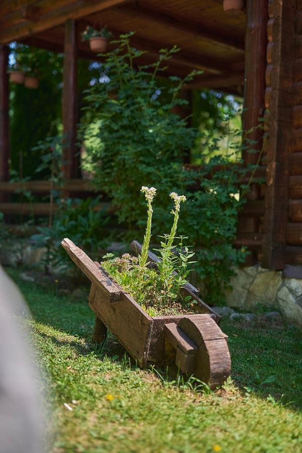 Country House Brijest 콜라신 외부 사진