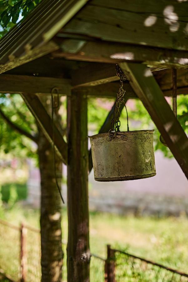 Country House Brijest 콜라신 외부 사진